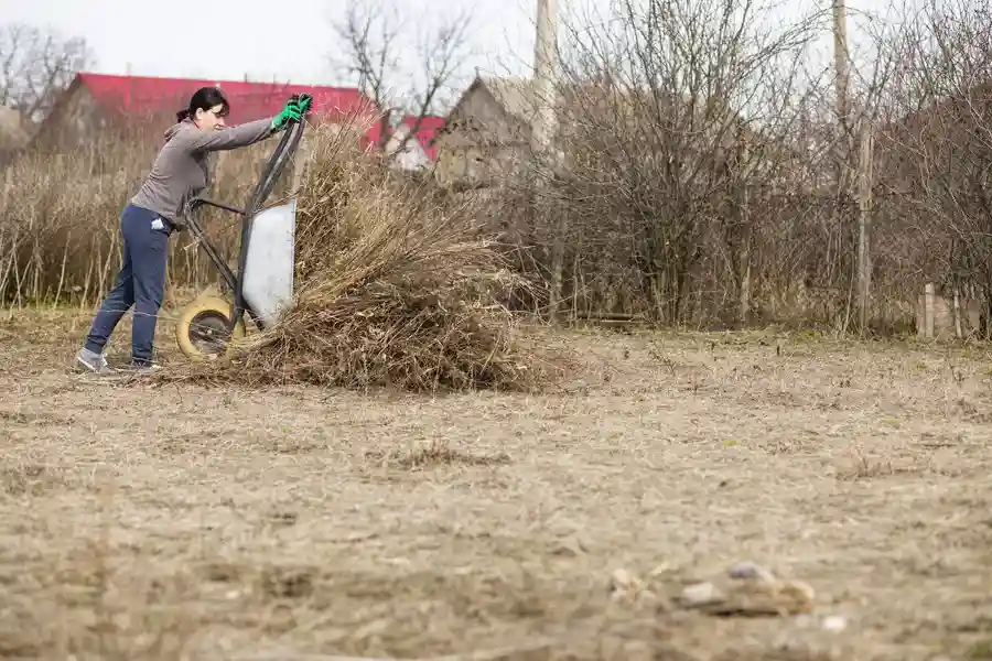 Experienced Yard Debris Removal Graham, NC