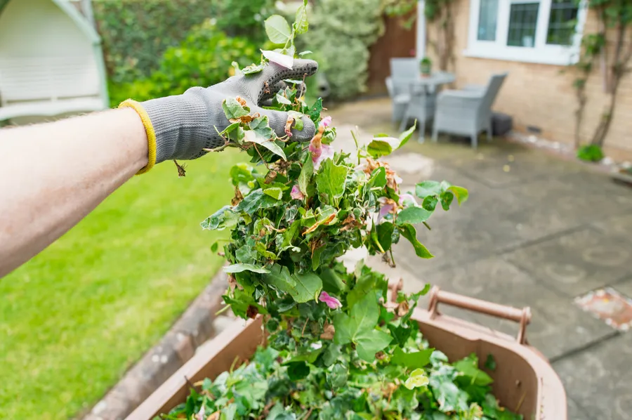 How Yard Debris Removal Boosts Property Appearance Graham, NC