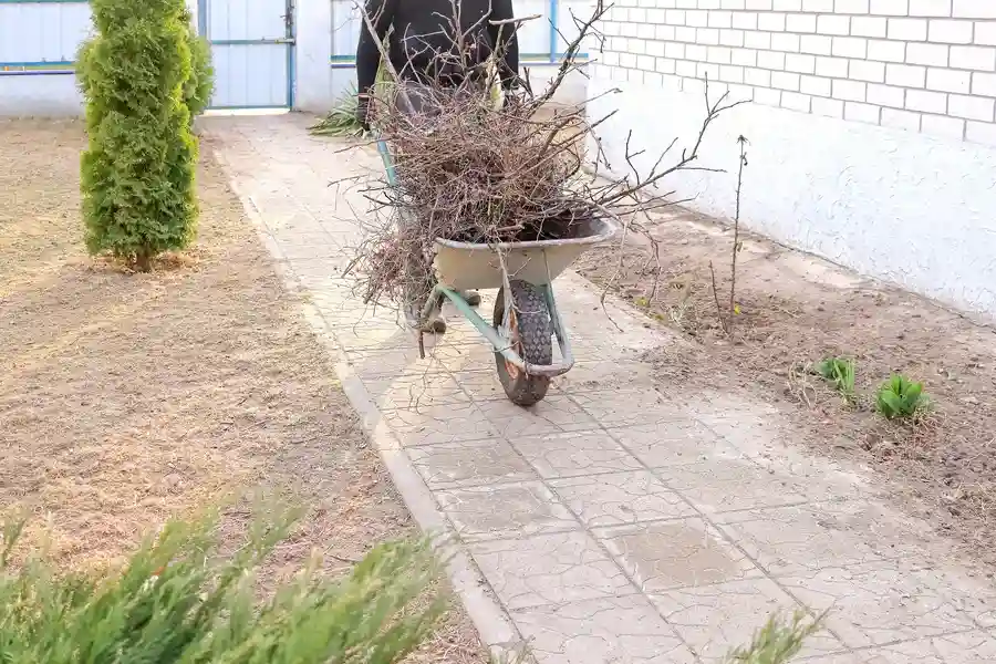 Premium Yard Debris Removal Graham, NC